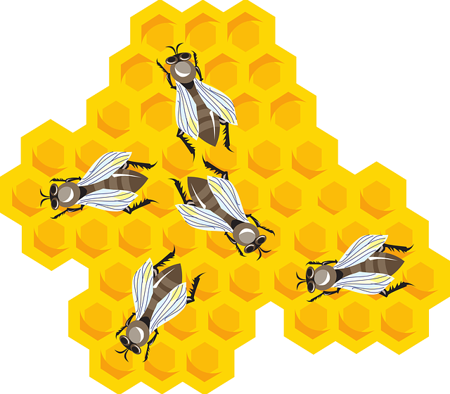 Apiculture – Indemnité de Solidarité Nationale ISN